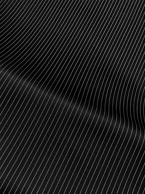 Thin Stripe T R Fabric/ Jet Black Color